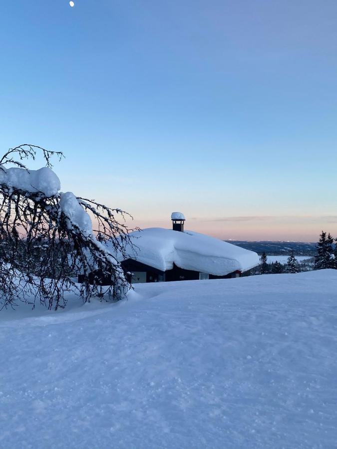 Cabin In The Mountain, Outstanding View & Solar Energy Vollen Exterior foto