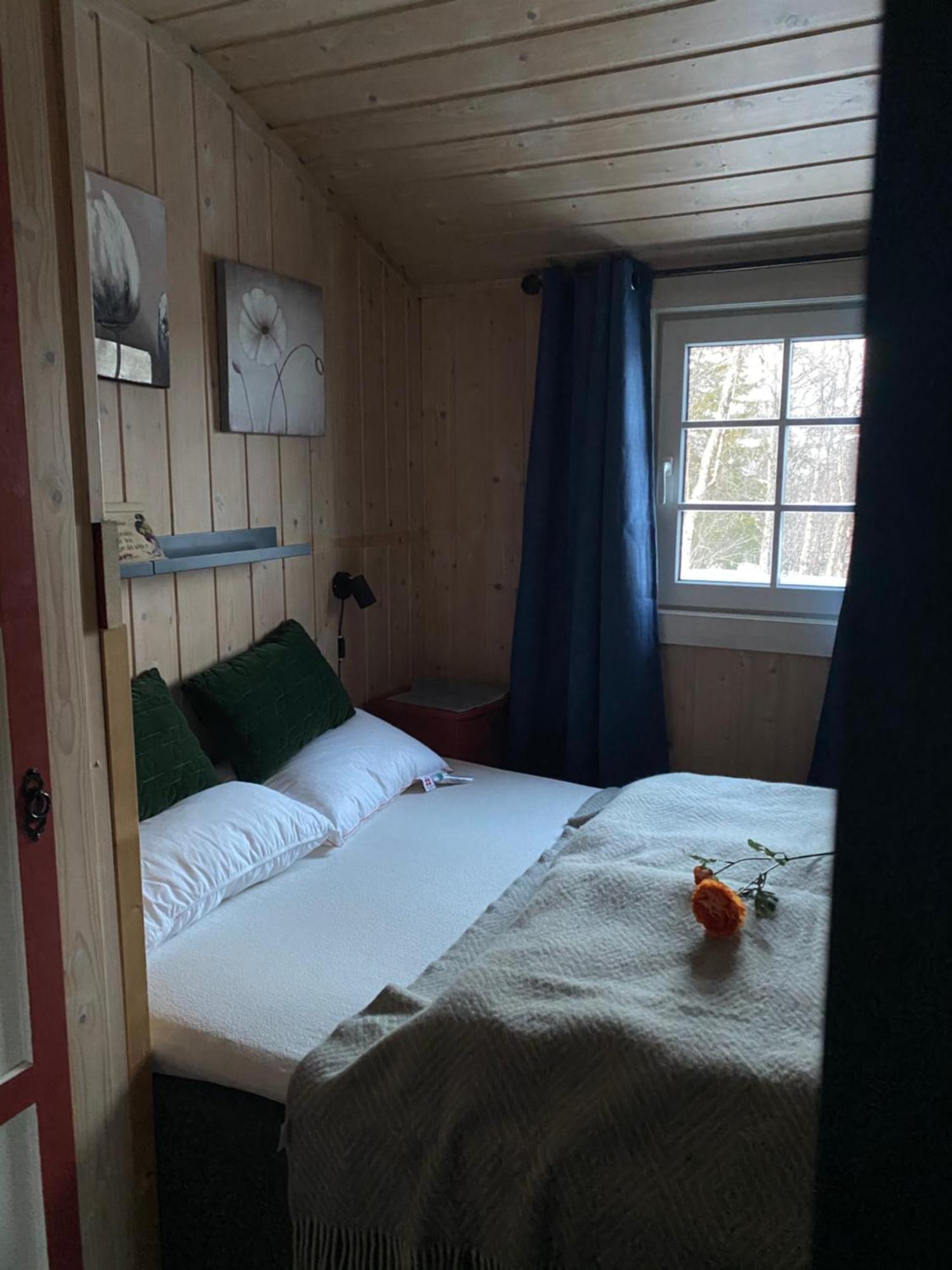 Cabin In The Mountain, Outstanding View & Solar Energy Vollen Exterior foto